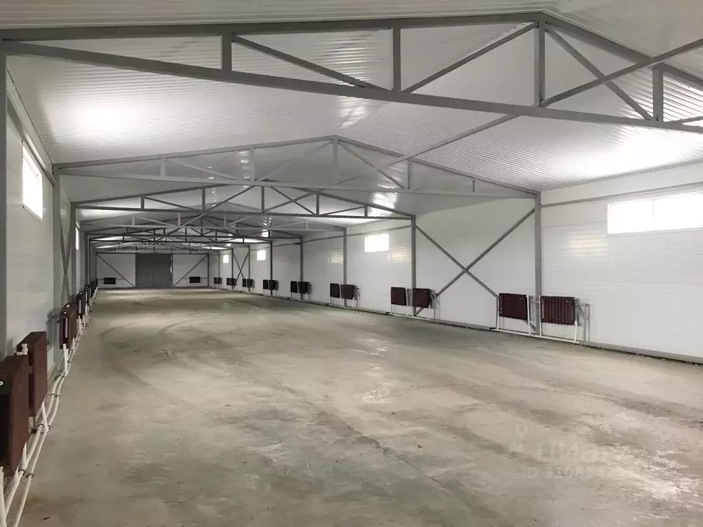 Помещение свободного назначения в Новосибирская область, Новосибирский ... - Фото 2