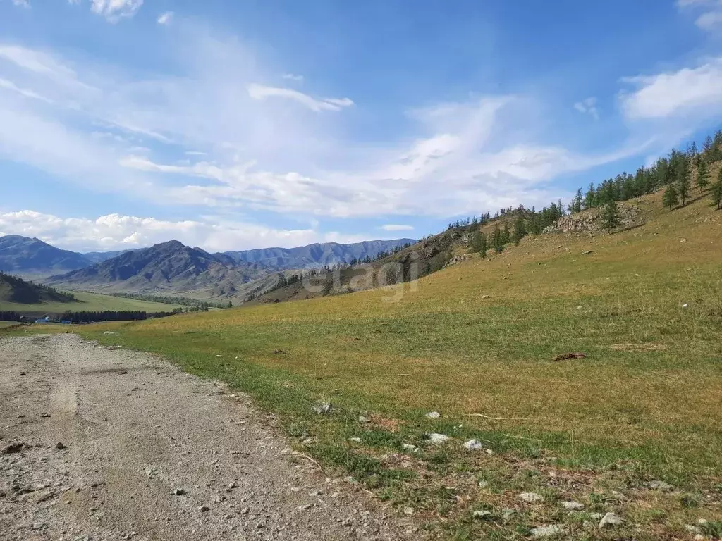 Участок в Алтай, Онгудайский район, Хабаровское с/пос, с. Улита ул. ... - Фото 1