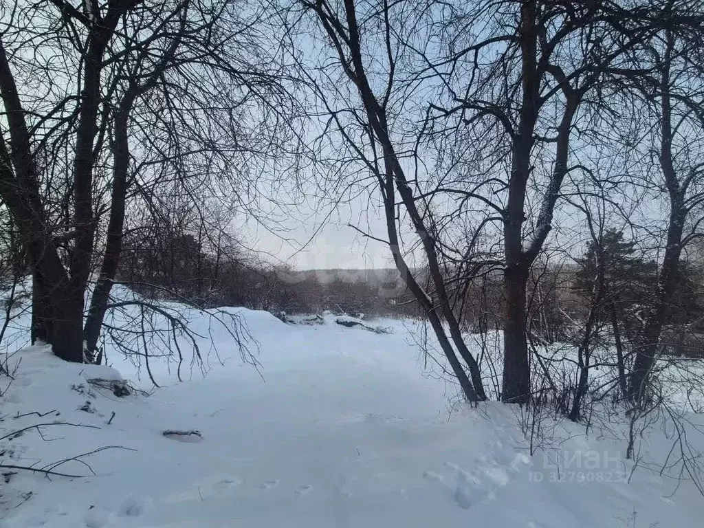 Участок в Амурская область, Благовещенск Василек СТ,  (8.0 сот.) - Фото 1