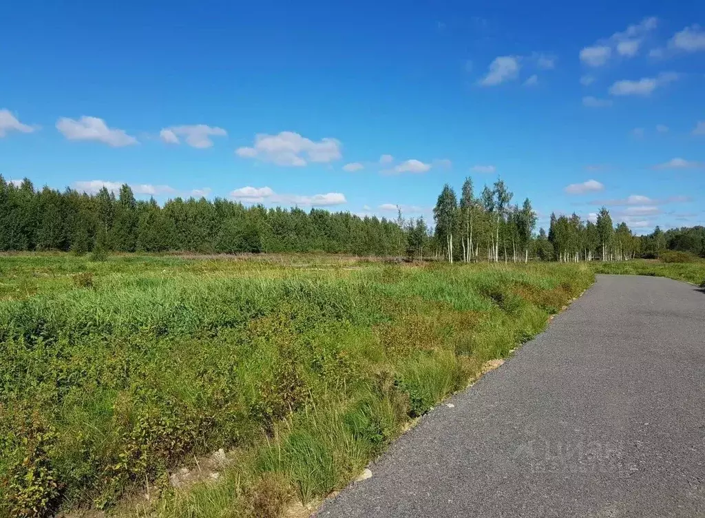 Участок в Ленинградская область, Всеволожский район, Куйвозовское ... - Фото 1