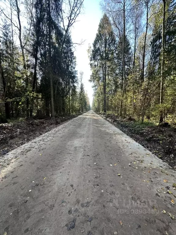 Участок в Московская область, Дмитровский городской округ, д. Сазонки, ... - Фото 0