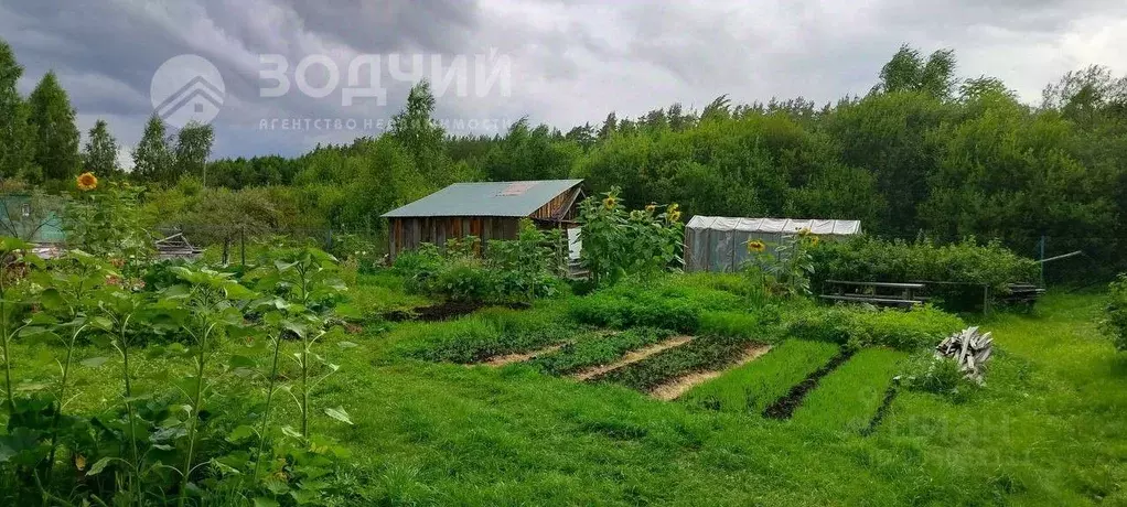 Участок в Чувашия, Чебоксары городской округ, Сосновка пгт, Сосенка ... - Фото 0