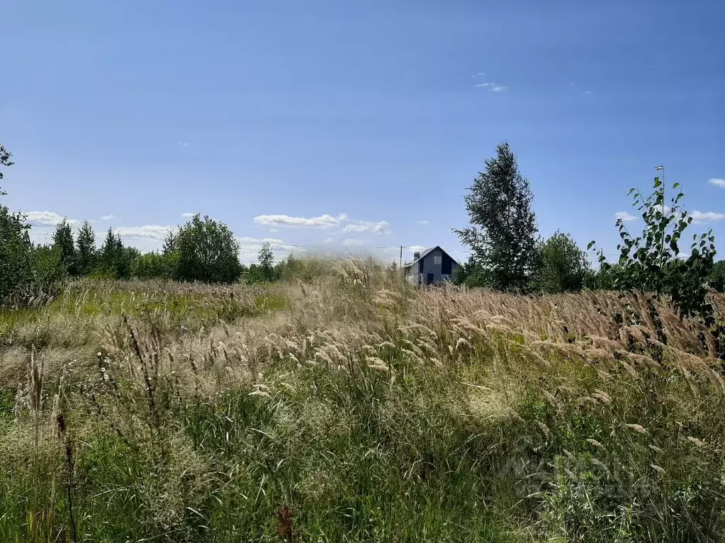 Участок в Московская область, Истра муниципальный округ, д. Бужарово ... - Фото 2