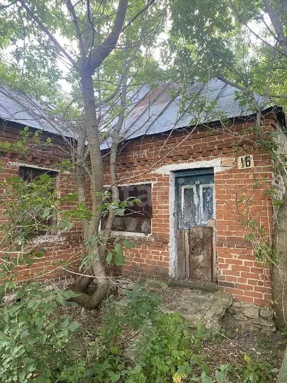 Дом в Липецкая область, Добровский муниципальный округ, с. Каликино ... - Фото 0