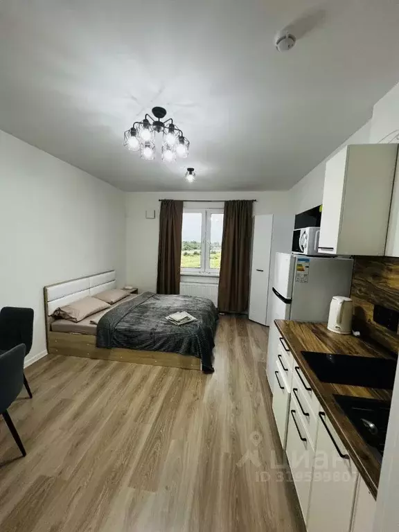 Студия Санкт-Петербург ул. Пахомовская, 16к1 (23.0 м) - Фото 0