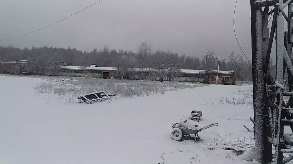 Производственное помещение в Московская область, Егорьевск ... - Фото 0