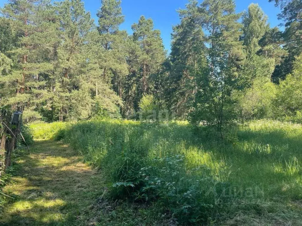 Участок в Калужская область, Жуковский район, Тарутино с/пос, Ветеран ... - Фото 2