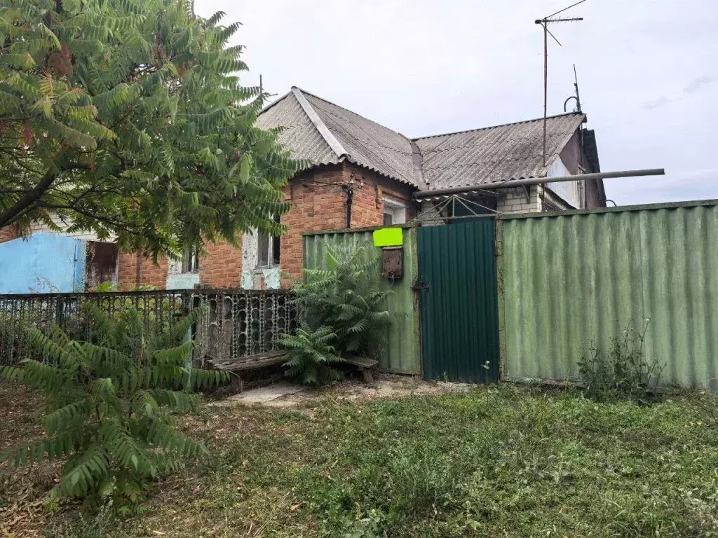 Дом в Белгородская область, Белгородский район, с. Стрелецкое  (40 м) - Фото 1