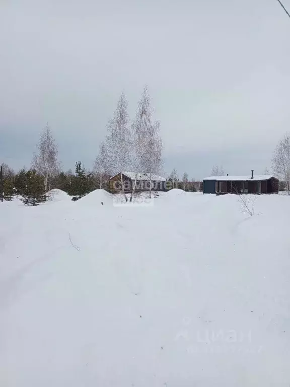 Участок в Челябинская область, Челябинск пос. Новосинеглазово, ... - Фото 0