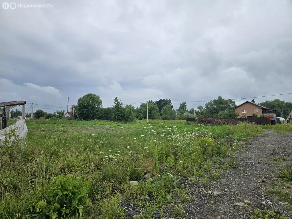 Участок в Калининградская область, Гурьевский муниципальный округ, ... - Фото 1