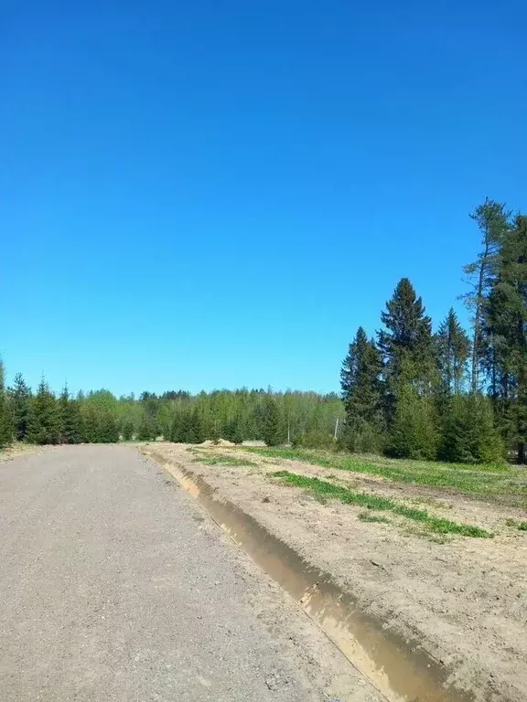 Участок в Ленинградская область, Тосненский район, Любанское городское ... - Фото 2