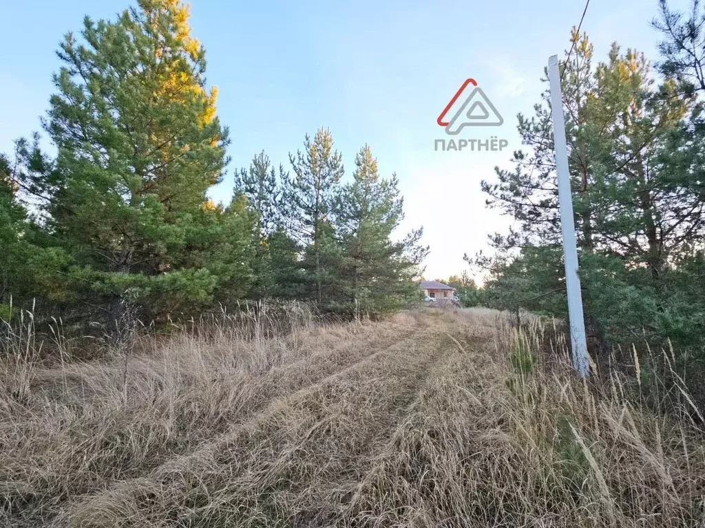 Участок в Ульяновская область, Мелекесский район, Старосахчинское ... - Фото 1