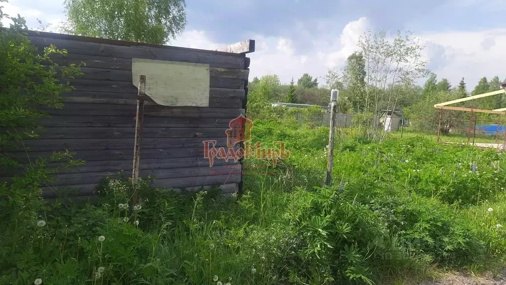 Участок в Владимирская область, Александровский район, Каринское ... - Фото 0