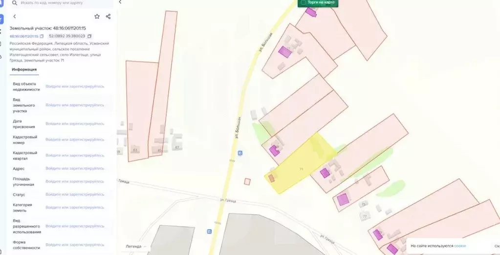 Участок в Липецкая область, Усманский муниципальный округ, с. Излегоще ... - Фото 1