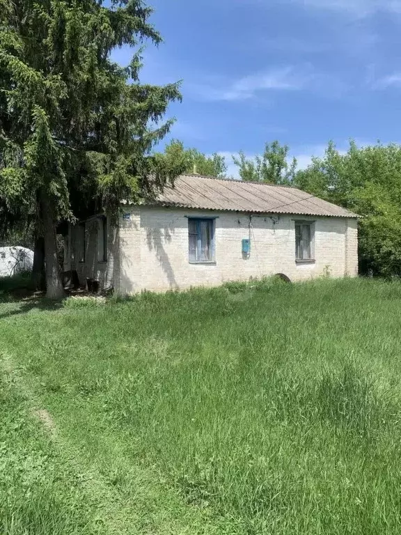 Дом в Белгородская область, Вейделевка рп ул. Октябрьская, 104 (38 м) - Фото 0