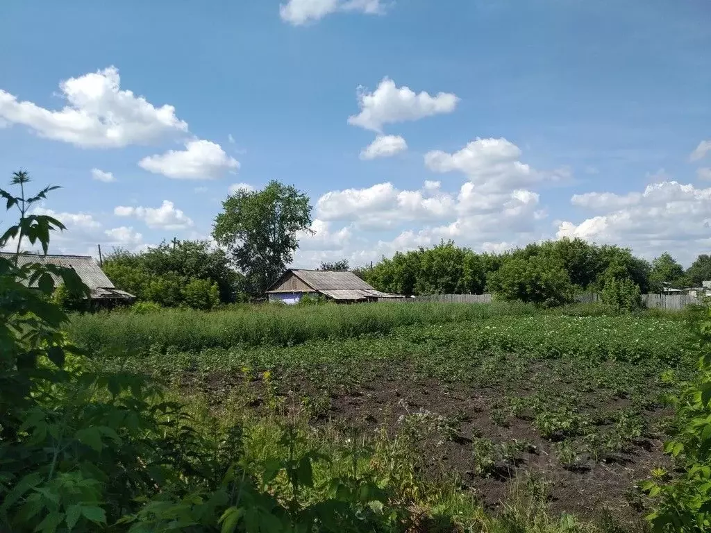 Дом в Омская область, Большереченский район, с. Евгащино ул. Гагарина, .,  Купить дом Евгащино, Большереченский район, ID объекта - 50007933723