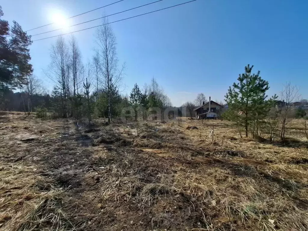Участок в Костромская область, Костромской район, Караваевское с/пос, ... - Фото 1