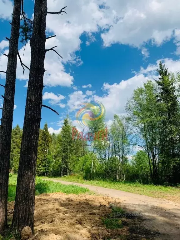 Участок в Ивановская область, Ивановский муниципальный округ, д. ... - Фото 2