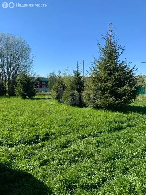 Участок в Вологодская область, Шекснинский муниципальный округ, ... - Фото 2