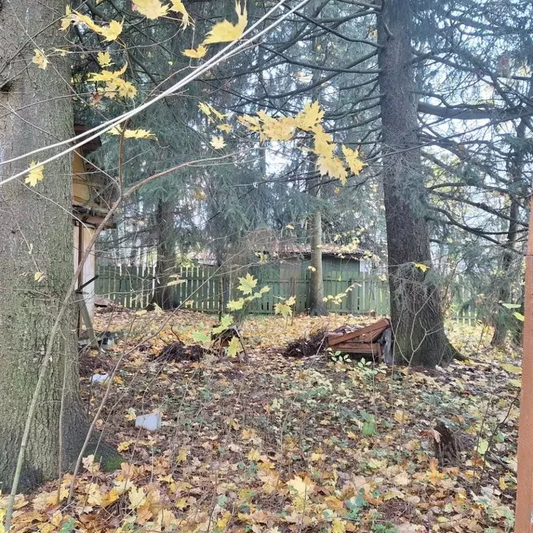 Участок в Московская область, Сергиево-Посадский городской округ, ... - Фото 2