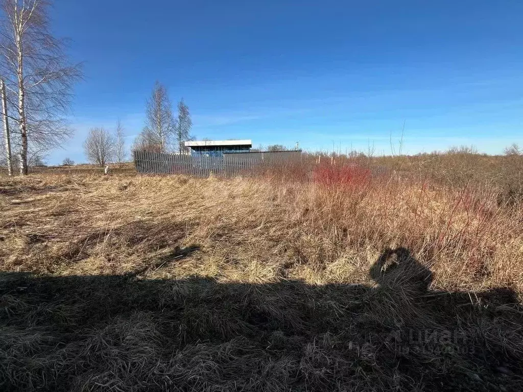Участок в Ленинградская область, Ломоносовский район, д. Низино  (4.4 ... - Фото 0