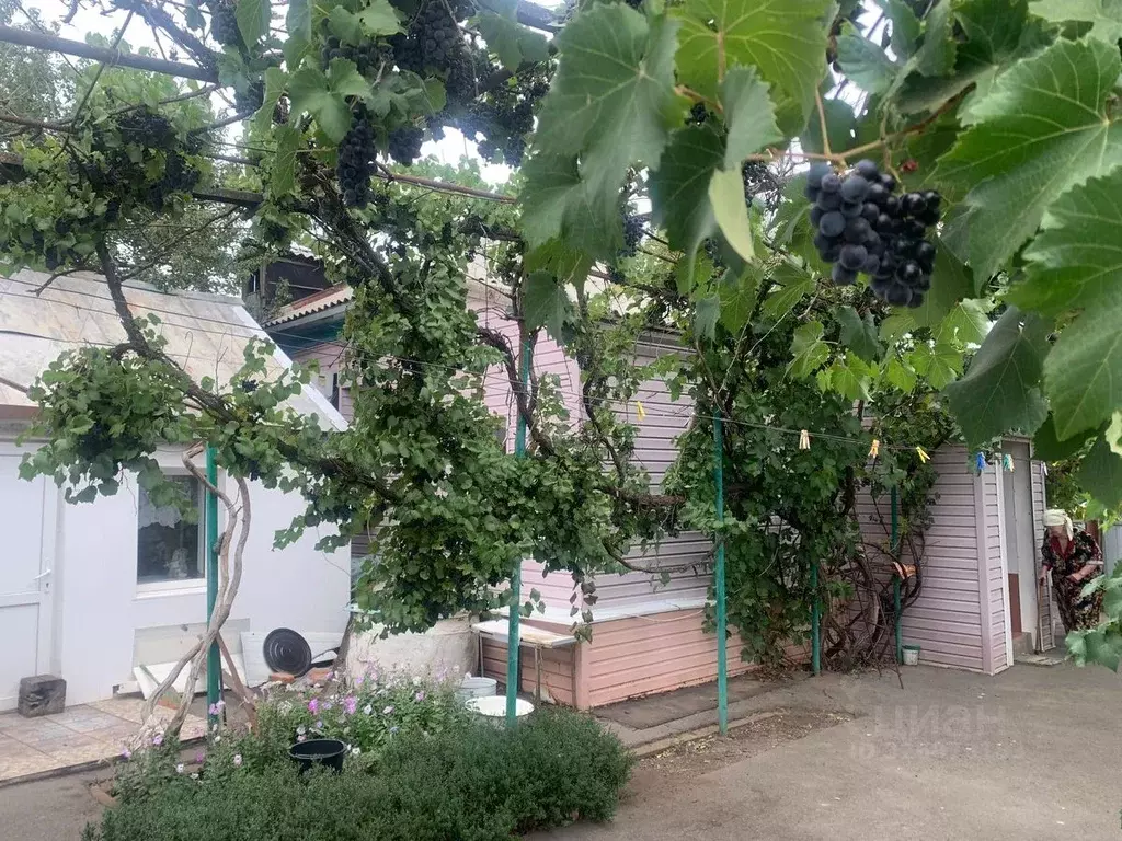 Дом в Ростовская область, Орловский район, пос. Красноармейский ул. ... - Фото 1