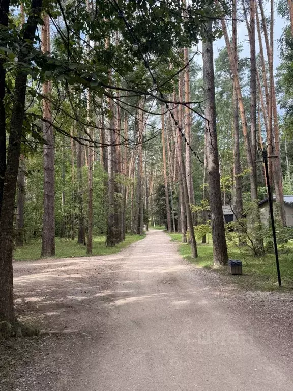 Участок в Московская область, Солнечногорск городской округ, Повадино ... - Фото 1
