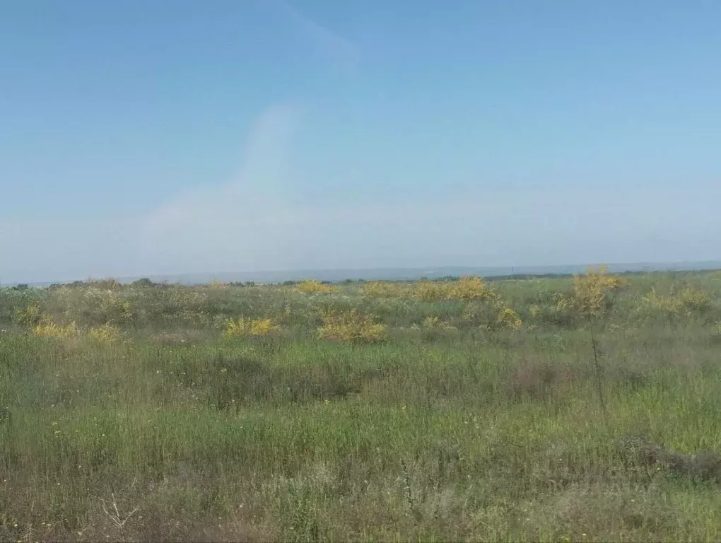 Участок в Волгоградская область, Городищенский район, Царицынское ... - Фото 1