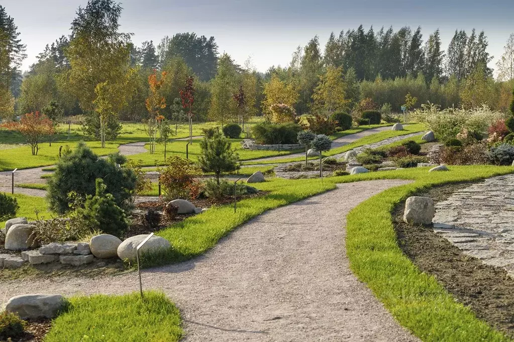 Участок в Ленинградская область, Выборгский район, Первомайское с/пос, ... - Фото 1