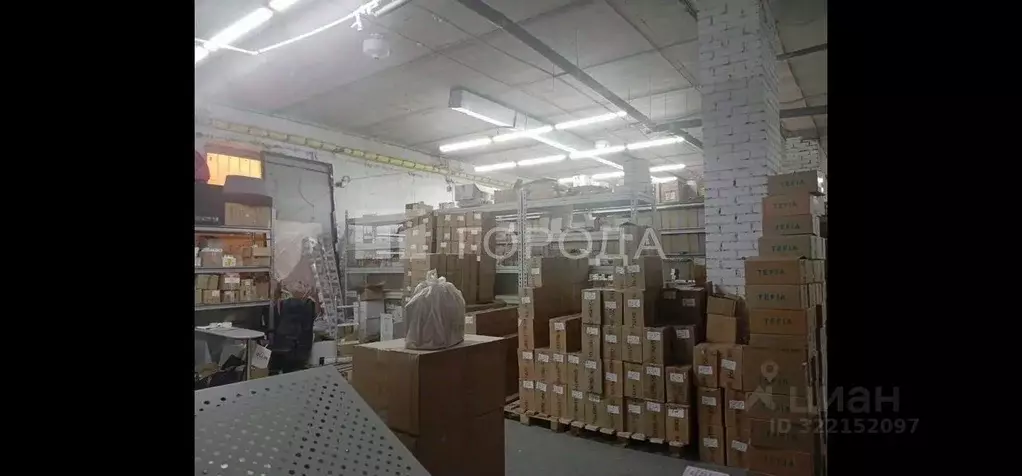 Склад в Новосибирская область, Новосибирск Северо-Чемской жилмассив, ... - Фото 2