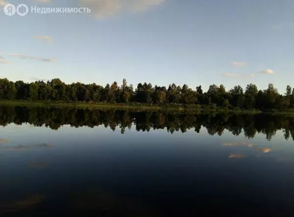 Участок в Вологодская область, Сокольский муниципальный округ, деревня ... - Фото 2