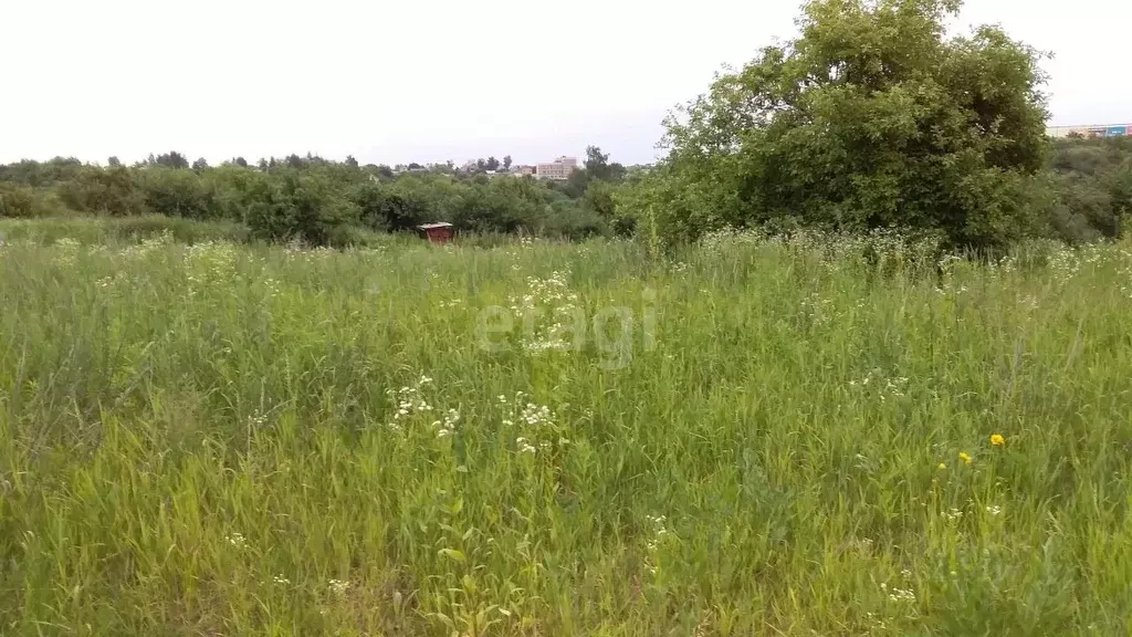 Брянская обл п путевка