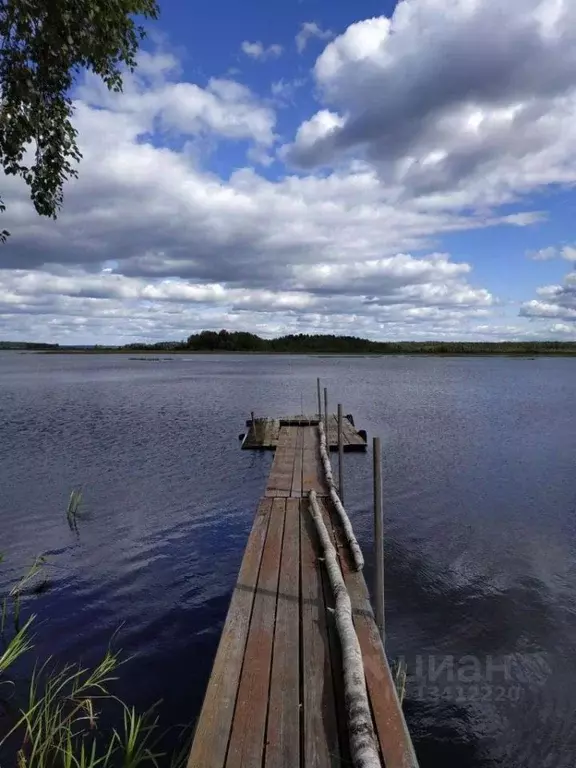 Дом в Тверская область, Пено пгт ул. Орлинка, 6/27 (70 м) - Фото 0