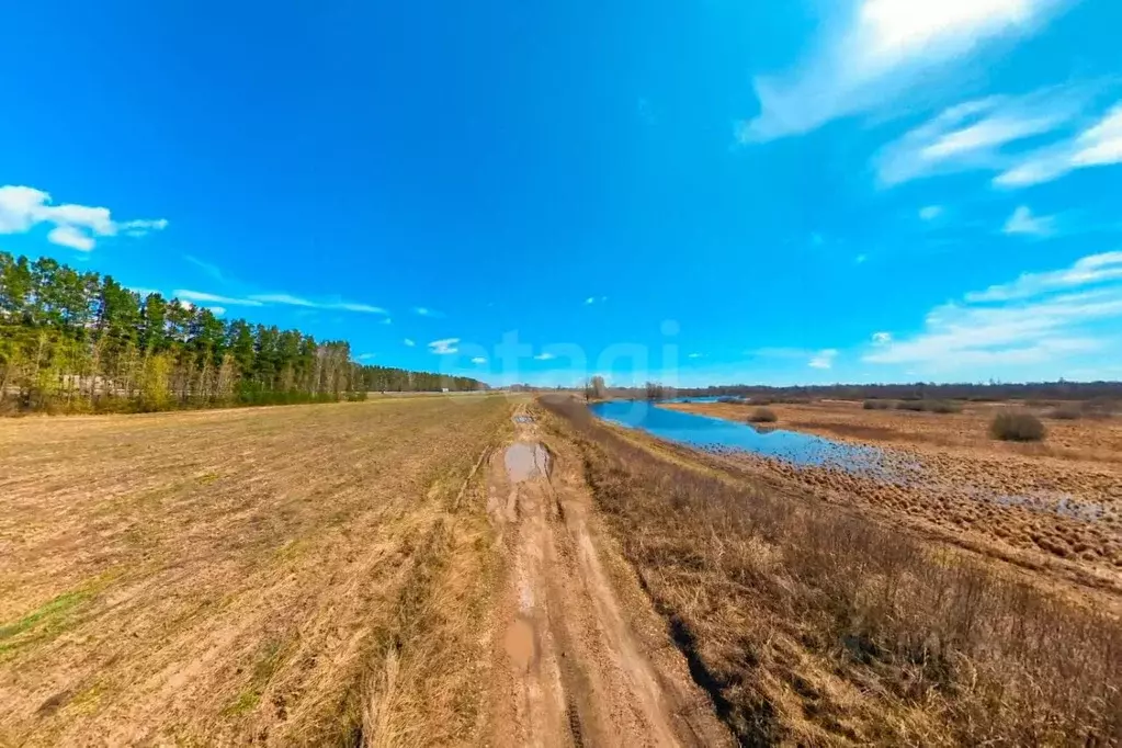 Участок в Тюменская область, Тюменский район, с. Созоново проезд ... - Фото 1