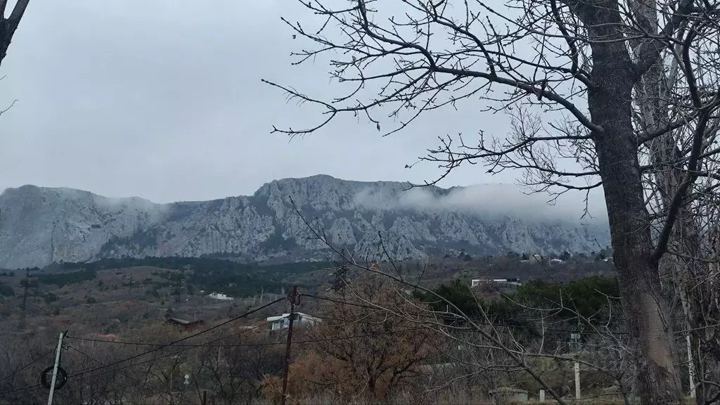 Участок в Крым, Ялта муниципальный округ, с. Оползневое ул. Князя ... - Фото 1