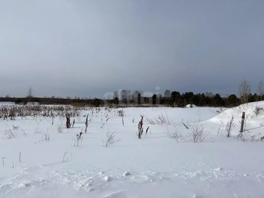 Участок в Тюменская область, с. Нижняя Тавда ул. Бориса Щербины (13.86 ... - Фото 1