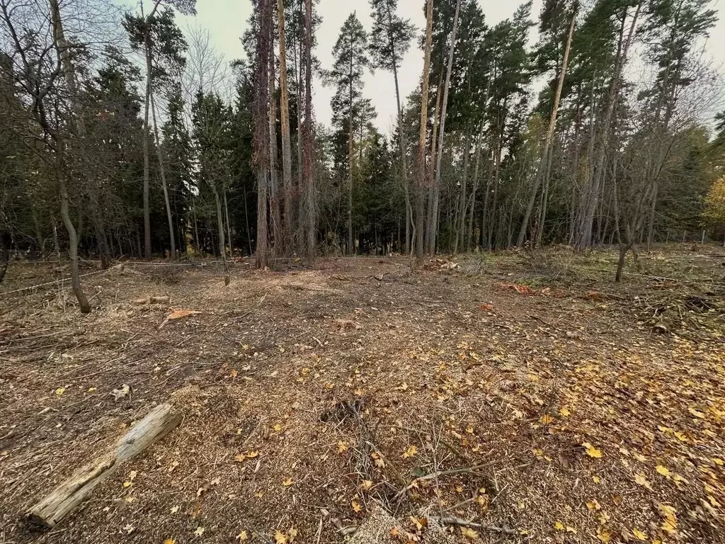 Участок в Москва д. Городище, уч2-1 (6.3 сот.) - Фото 1