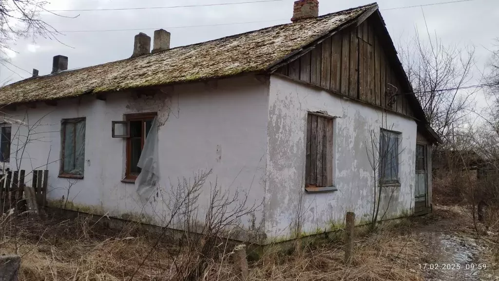 Помещение свободного назначения в Калининградская область, ... - Фото 1