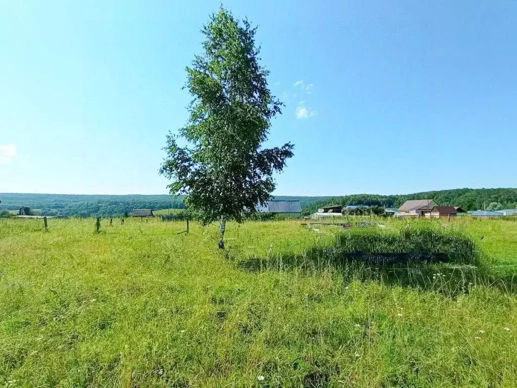 Участок в Башкортостан, Гафурийский район, Красноусольский сельсовет, ... - Фото 1