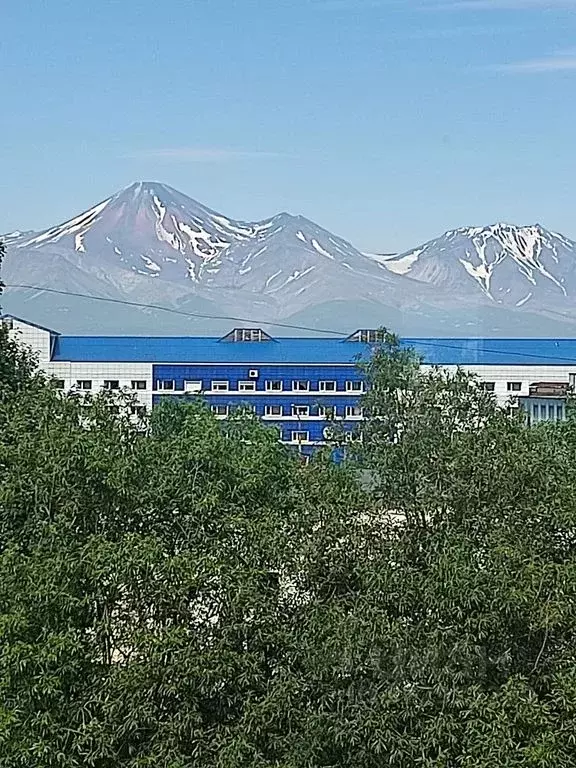 2-к кв. Камчатский край, Петропавловск-Камчатский просп. Рыбаков, 5 ... - Фото 1