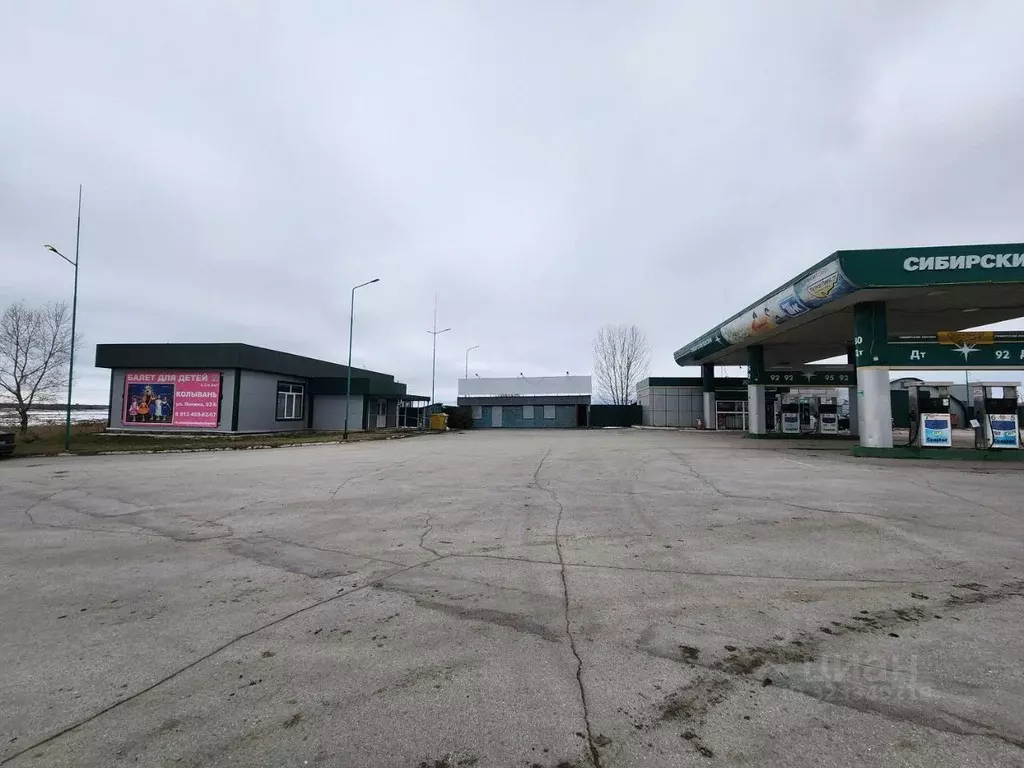 Помещение свободного назначения в Новосибирская область, Колывань рп  ... - Фото 1