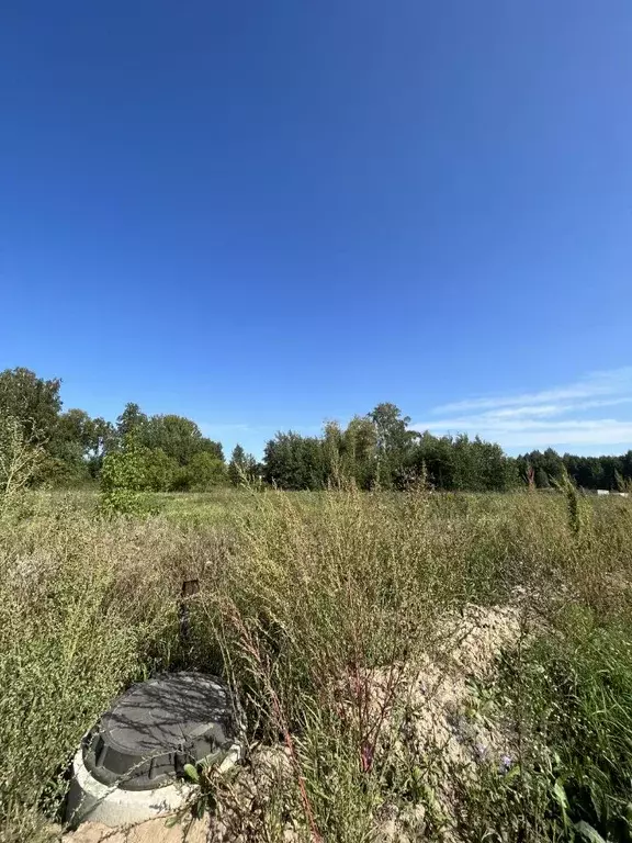 Участок в Алтайский край, Первомайский район, с. Бобровка  (25.0 сот.) - Фото 1