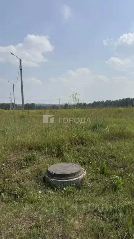 Участок в Новосибирская область, Тогучинский район, Горный рп  (11.92 ... - Фото 2