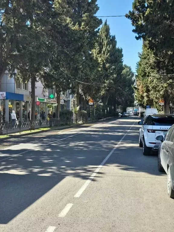 Помещение свободного назначения в Краснодарский край, Сочи Центральный ... - Фото 2