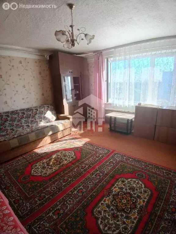 1-комнатная квартира: село Дмитрова Гора, Центральная улица, 4 (36.6 ... - Фото 2