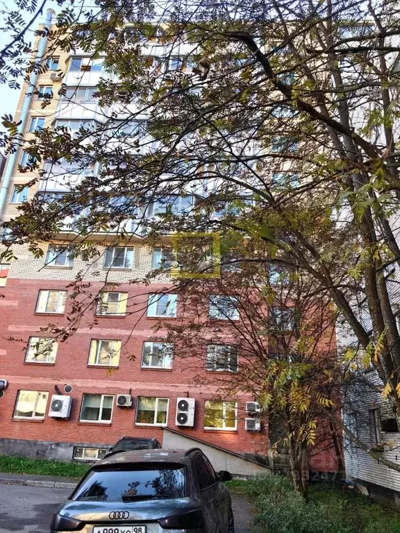 Офис в Ленинградская область, Сертолово Всеволожский район, ул. ... - Фото 2