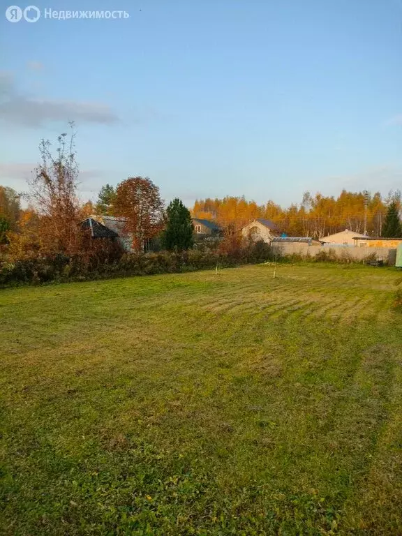 Участок в Московская область, Раменский муниципальный округ, СНТ ... - Фото 1