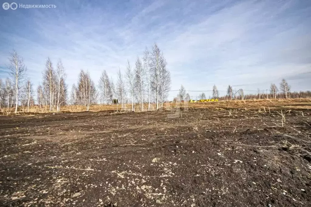 Участок в Бердск, микрорайон Раздольный (9.5 м) - Фото 0