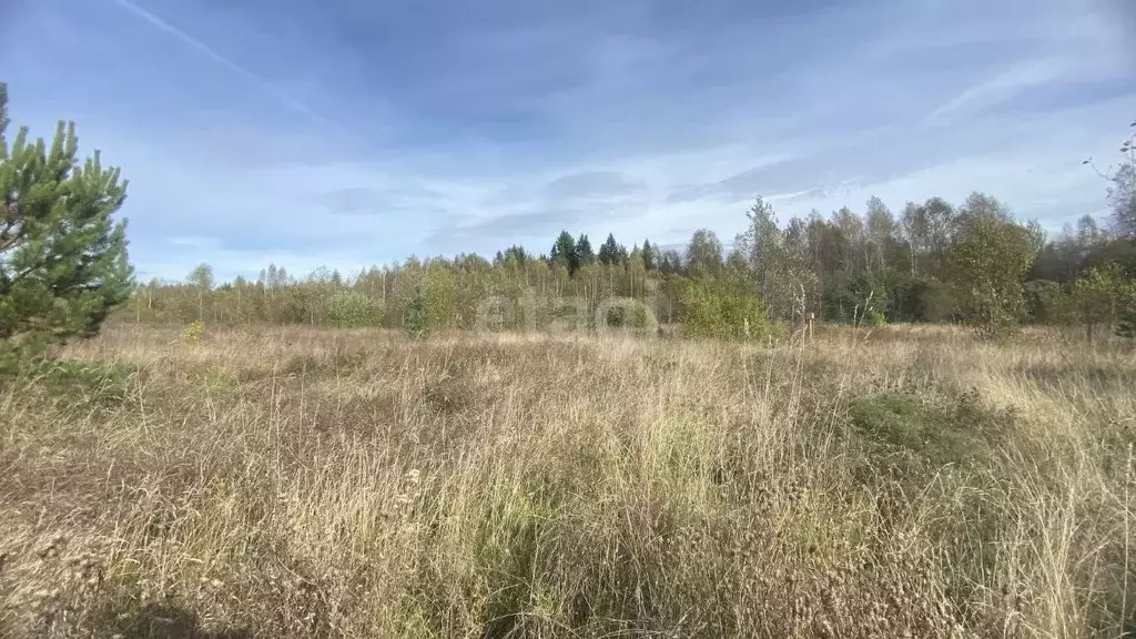 Участок в Костромская область, Судиславский муниципальный округ, д. ... - Фото 1