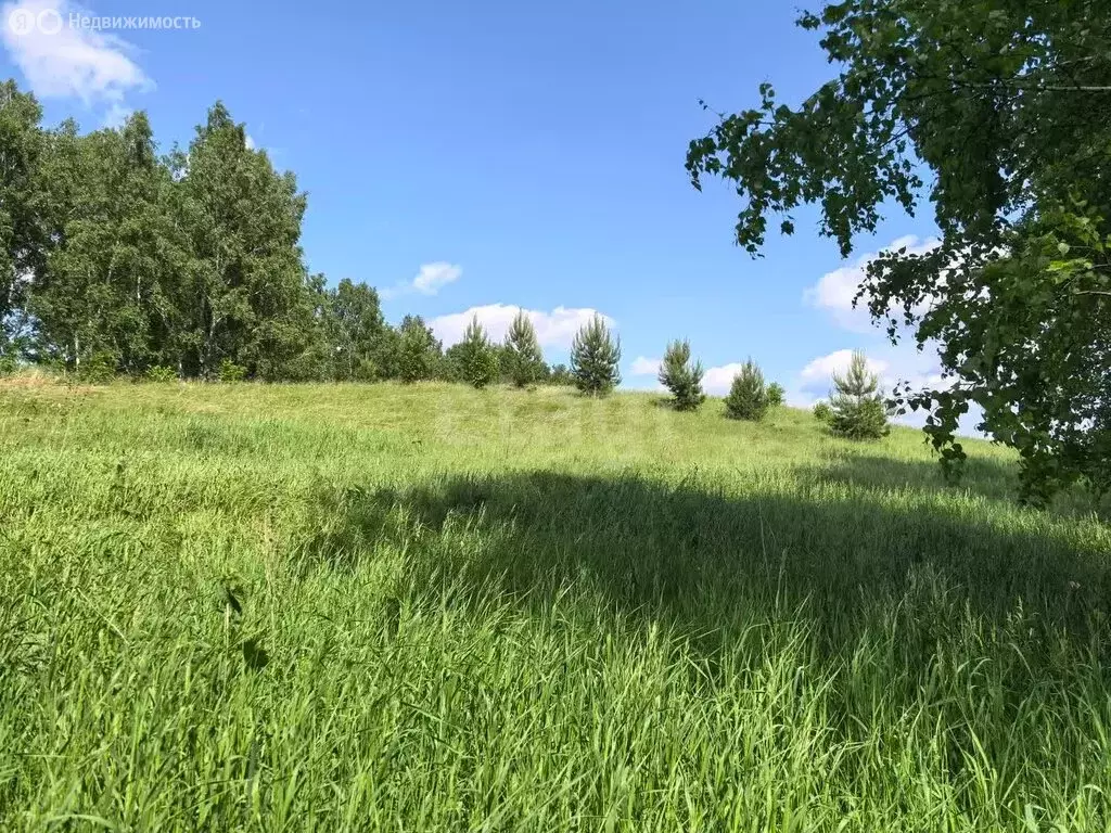 Участок в Новосибирский район, Морской сельсовет, ТСН Ближняя Дача ... - Фото 0